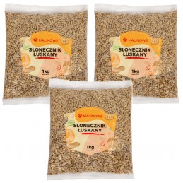 Zestaw słonecznik 3x1kg