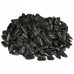 Słonecznik czarny 100g