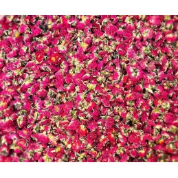 Kwiat Róża Corolla Golden 20g