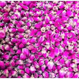 Kwiat Róża Pąk Czerwona 20g